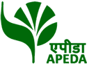 APEDA Certified